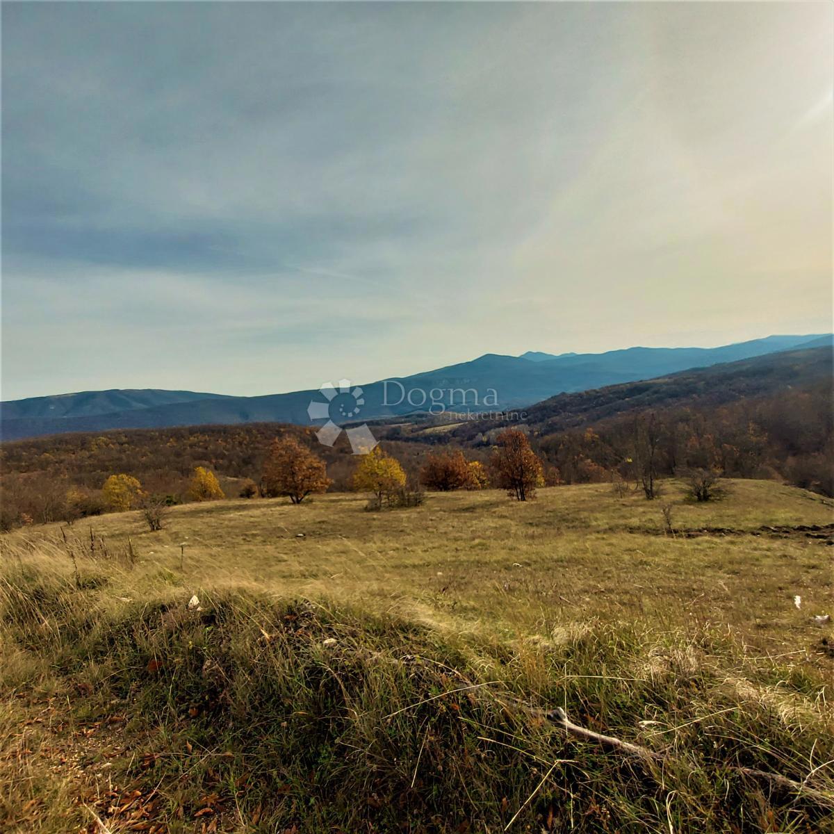 Kmetijsko zemljišče Kestenovac, Donji Lapac, 25.160m2