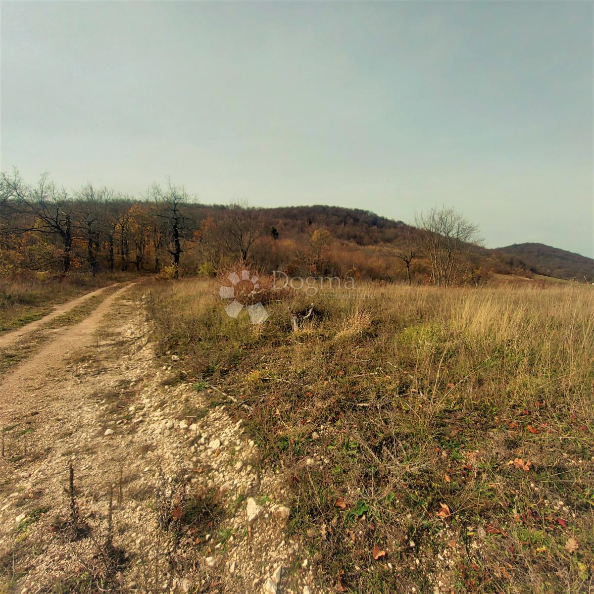 Kmetijsko zemljišče Kestenovac, Donji Lapac, 25.160m2