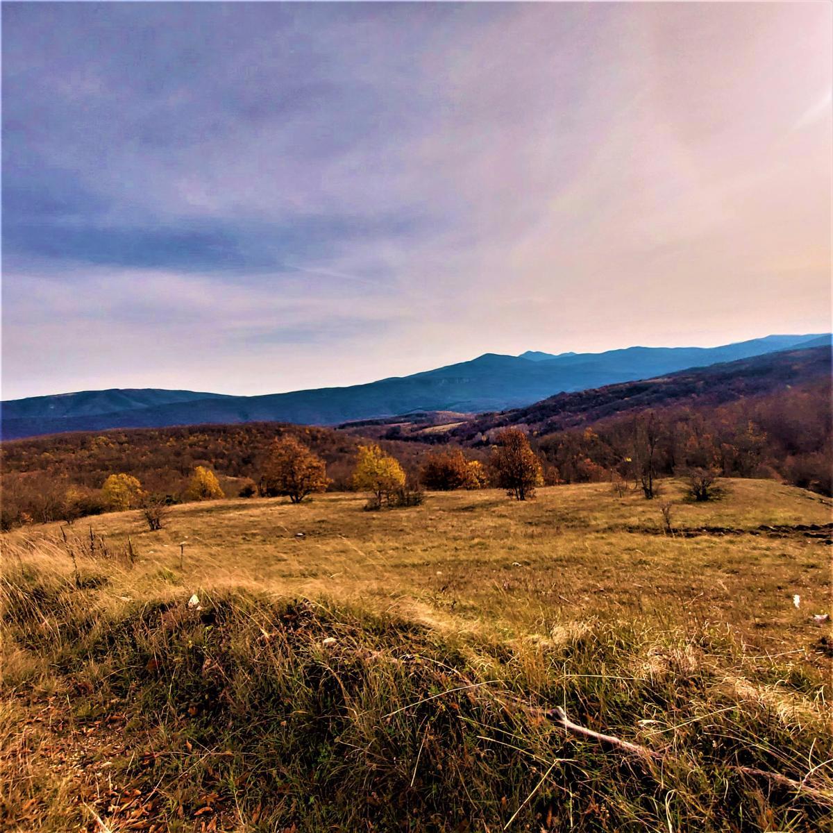 Kmetijsko zemljišče Kestenovac, Donji Lapac, 25.160m2