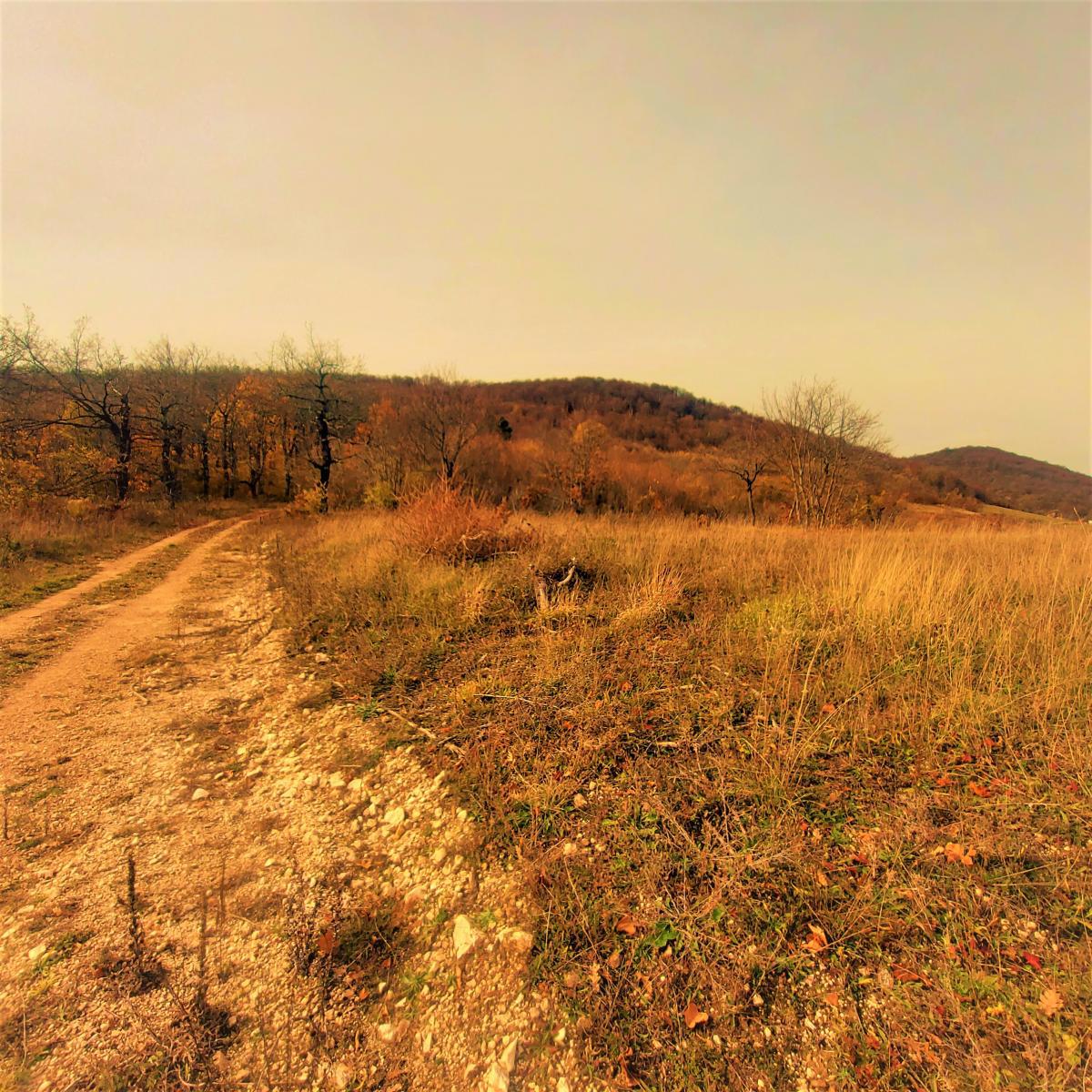 Kmetijsko zemljišče Kestenovac, Donji Lapac, 25.160m2