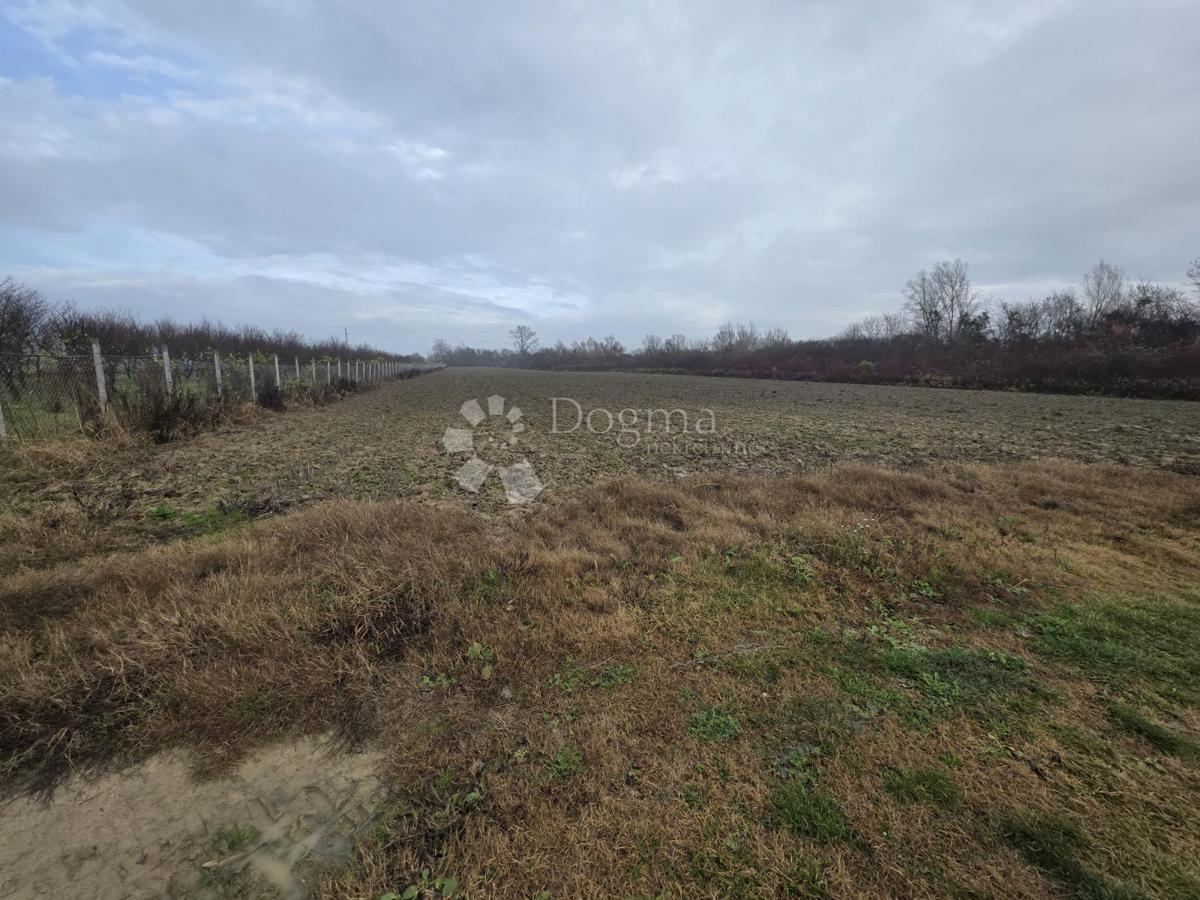 Kmetijsko zemljišče Oborovo, Rugvica, 5.206m2