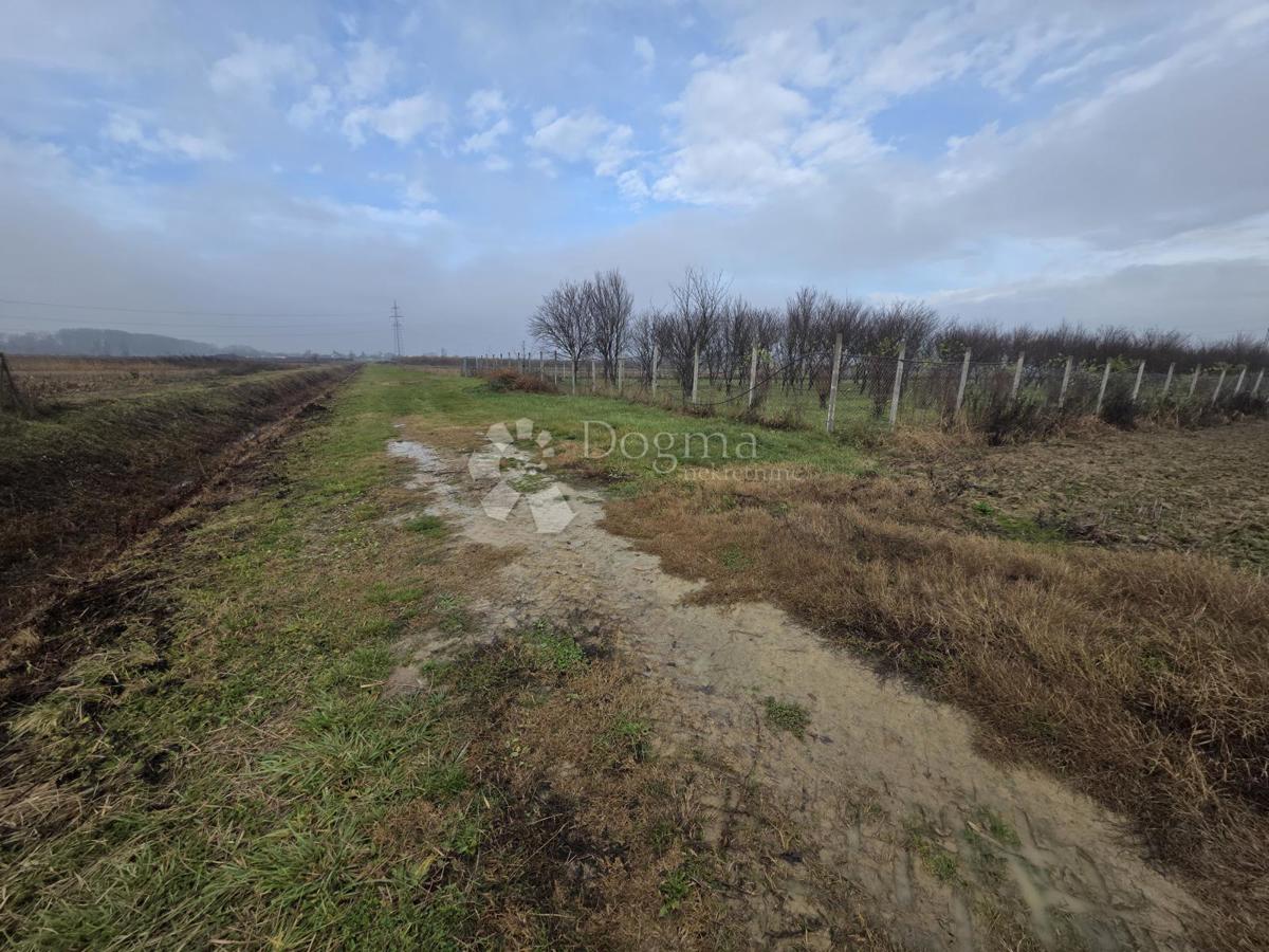 Kmetijsko zemljišče Oborovo, Rugvica, 5.206m2