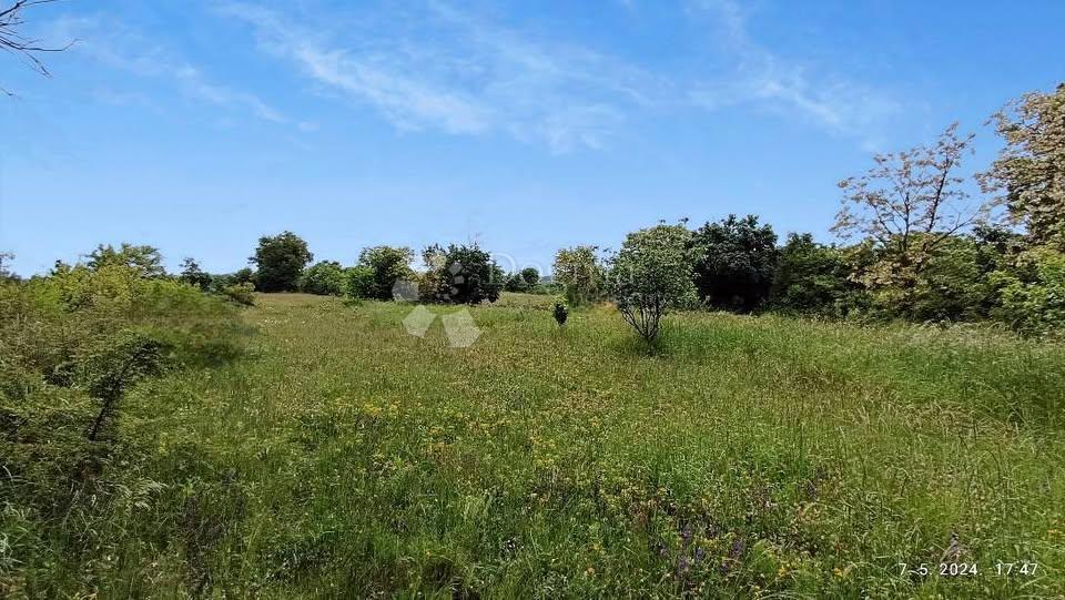 Kombinacija gradbene in kmetijske parcele na mirni lokaciji