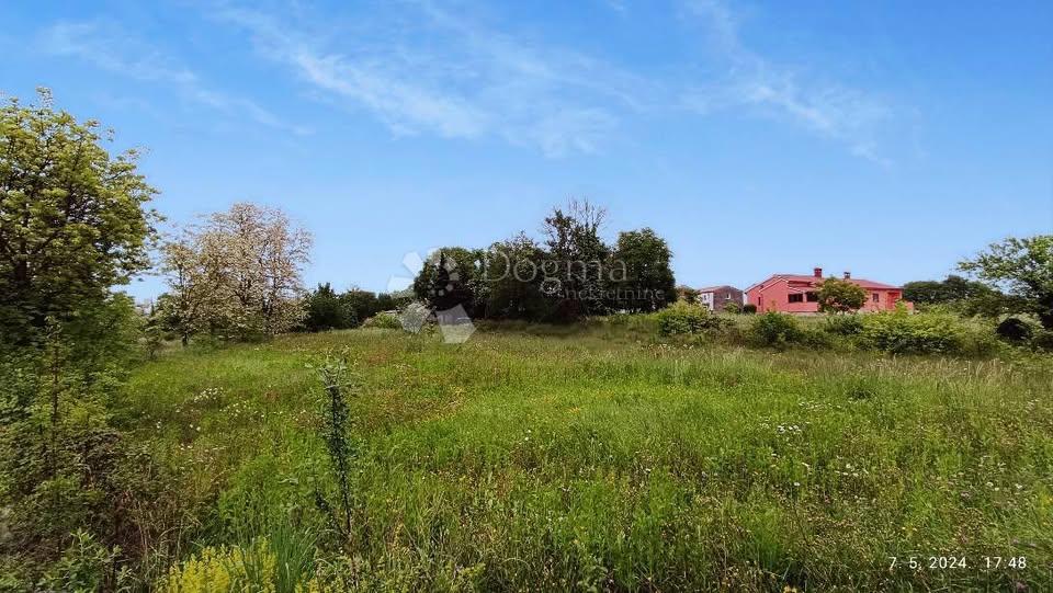 Kombinacija gradbene in kmetijske parcele na mirni lokaciji