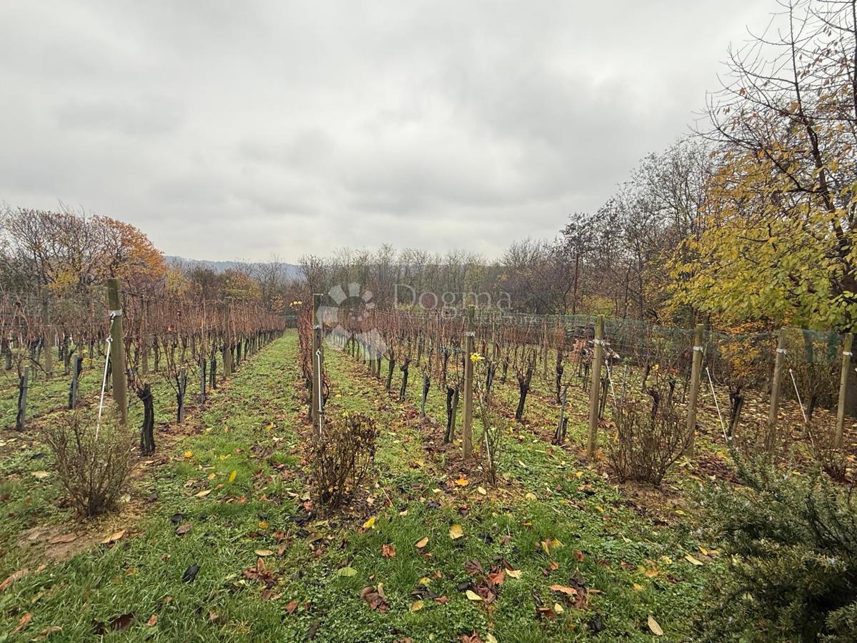 Hiša Vinogradi Ludbreški, Ludbreg, 75m2