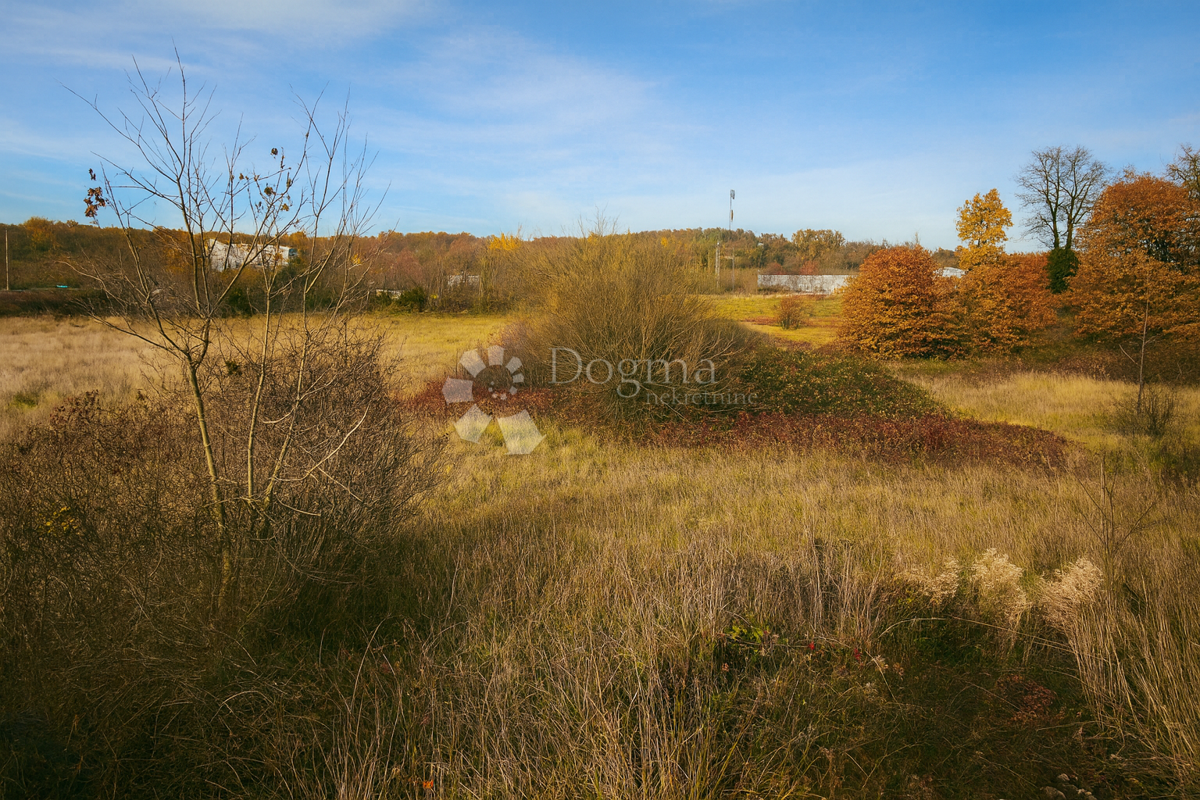 Zazidljivo zemljišče Zabrežani, Pazin - Okolica, 9.180m2