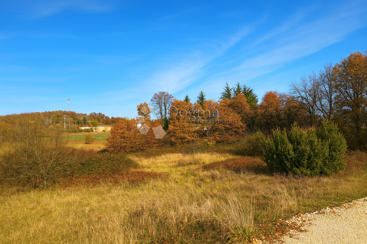 Zazidljivo zemljišče Zabrežani, Pazin - Okolica, 9.180m2