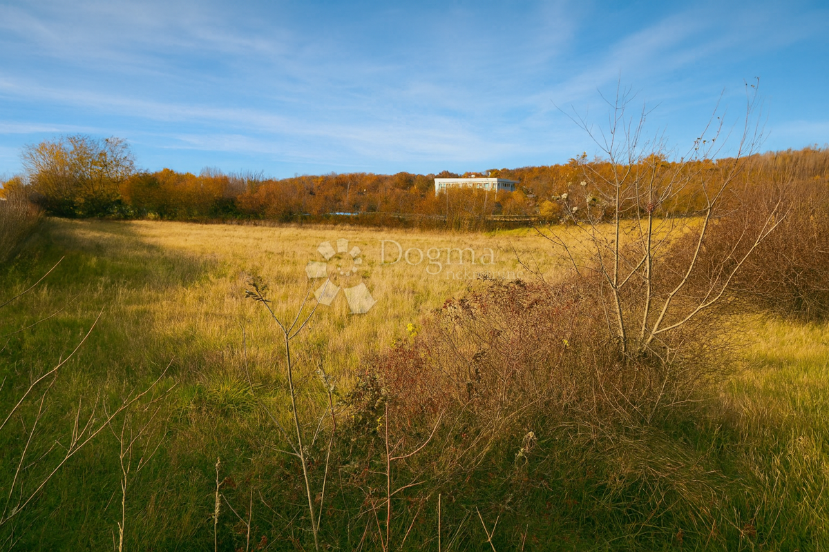 Zazidljivo zemljišče Zabrežani, Pazin - Okolica, 9.180m2