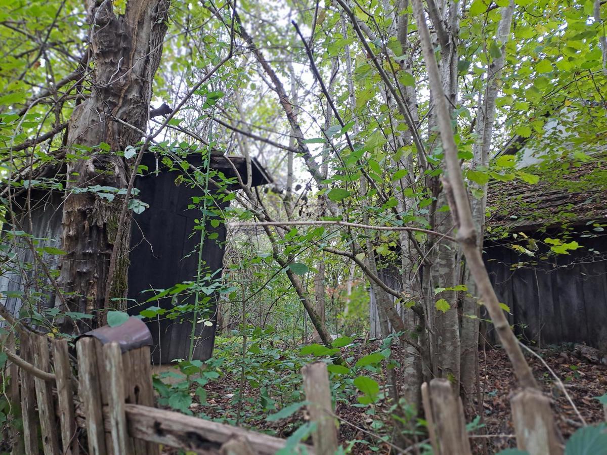 Hiša Pješčanica, Gvozd, 200m2