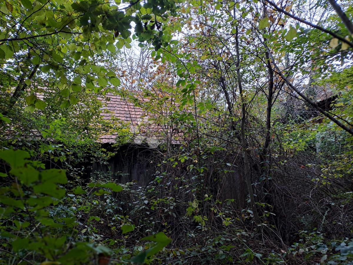 Hiša Pješčanica, Gvozd, 200m2