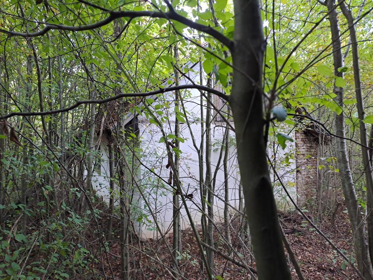 Hiša Pješčanica, Gvozd, 200m2