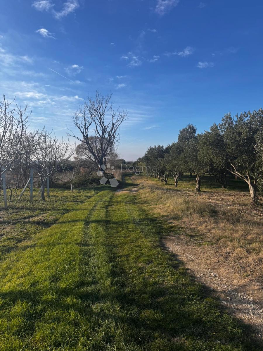 Zazidljivo zemljišče Zemunik Gornji, Zemunik Donji, 1.400m2