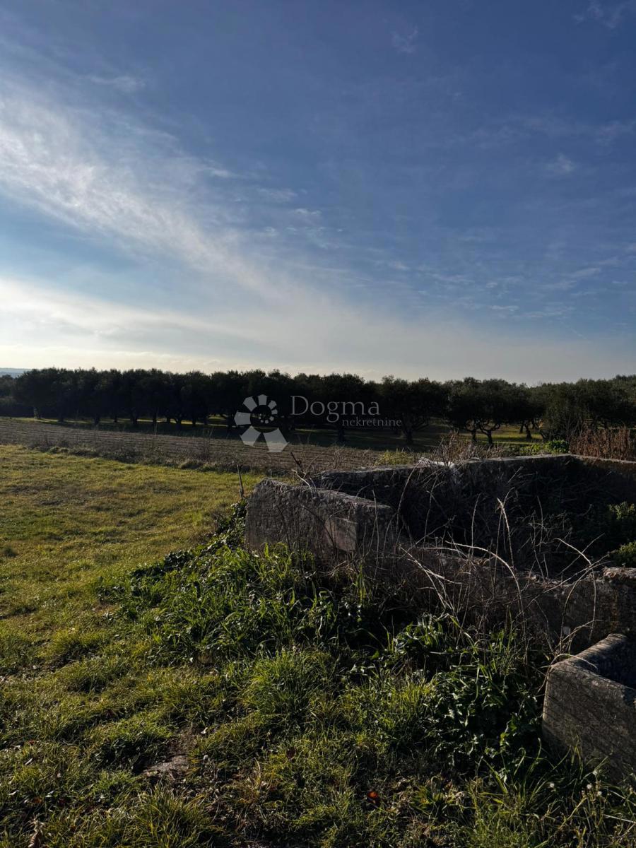 Zazidljivo zemljišče Zemunik Gornji, Zemunik Donji, 1.400m2