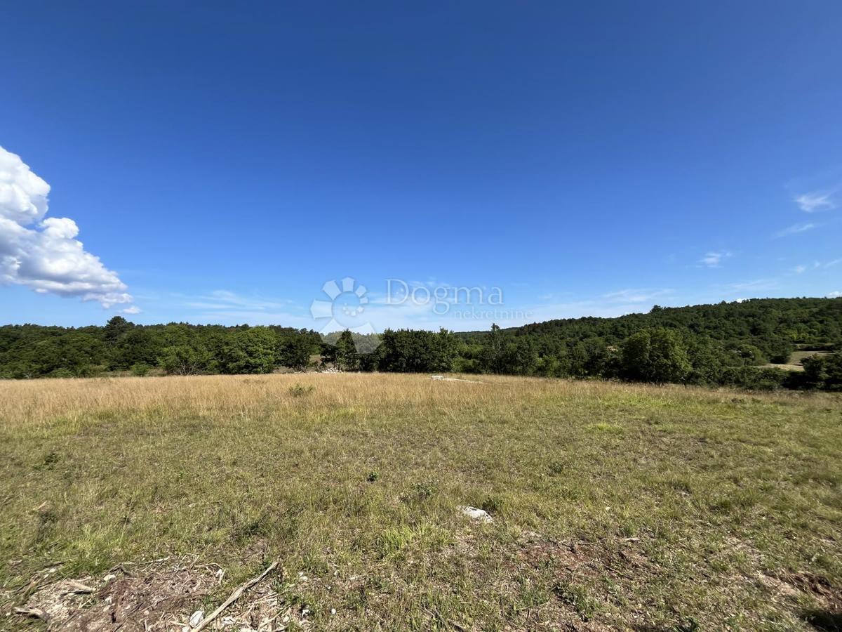 GROŽNJAN, GRADBENI - KMETIJSKI ZEMLJIŠČNI KOMPLEKS