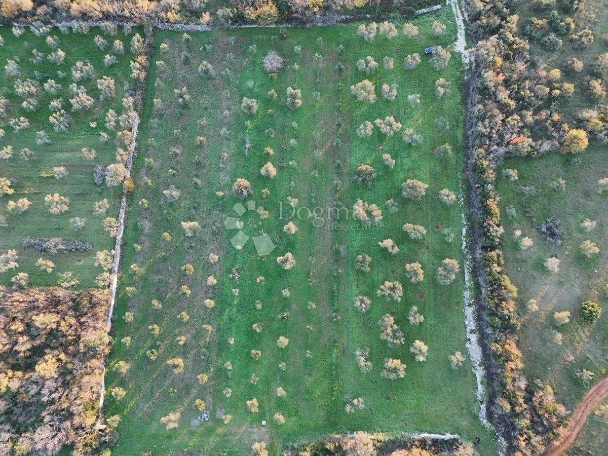 Zemljišče Fažana, 3.630m2