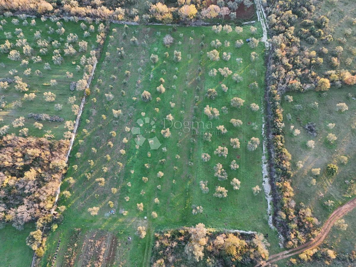 Zemljišče Fažana, 3.630m2