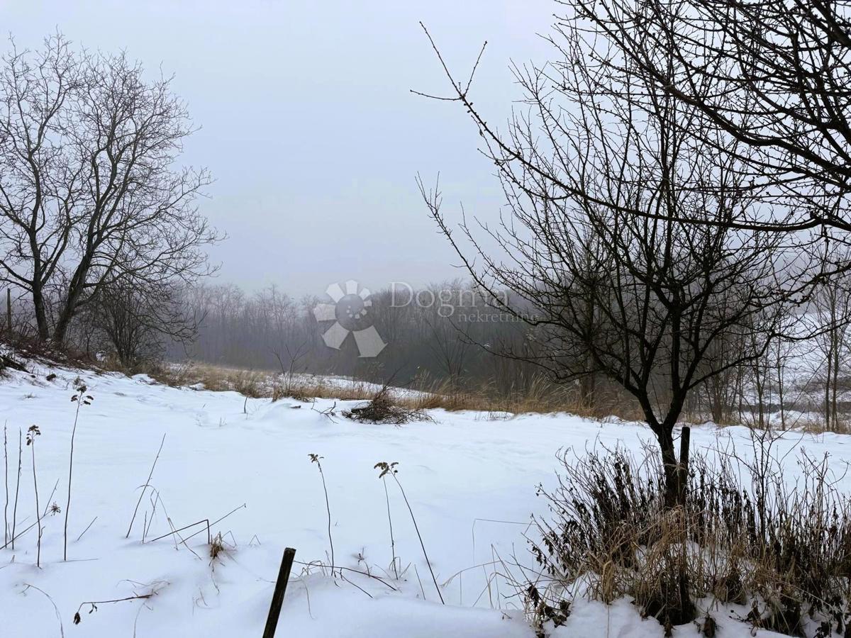 Poslovni prostor Banfi, Štrigova, 4.543m2