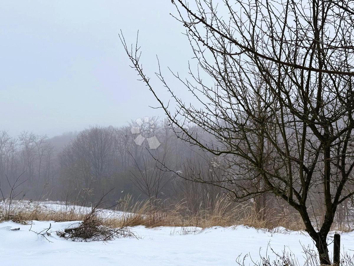 Poslovni prostor Banfi, Štrigova, 4.543m2