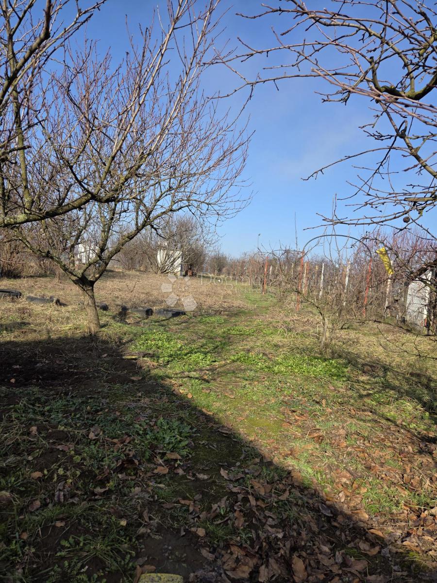 Hiša Bijelo Brdo, Erdut, 40m2