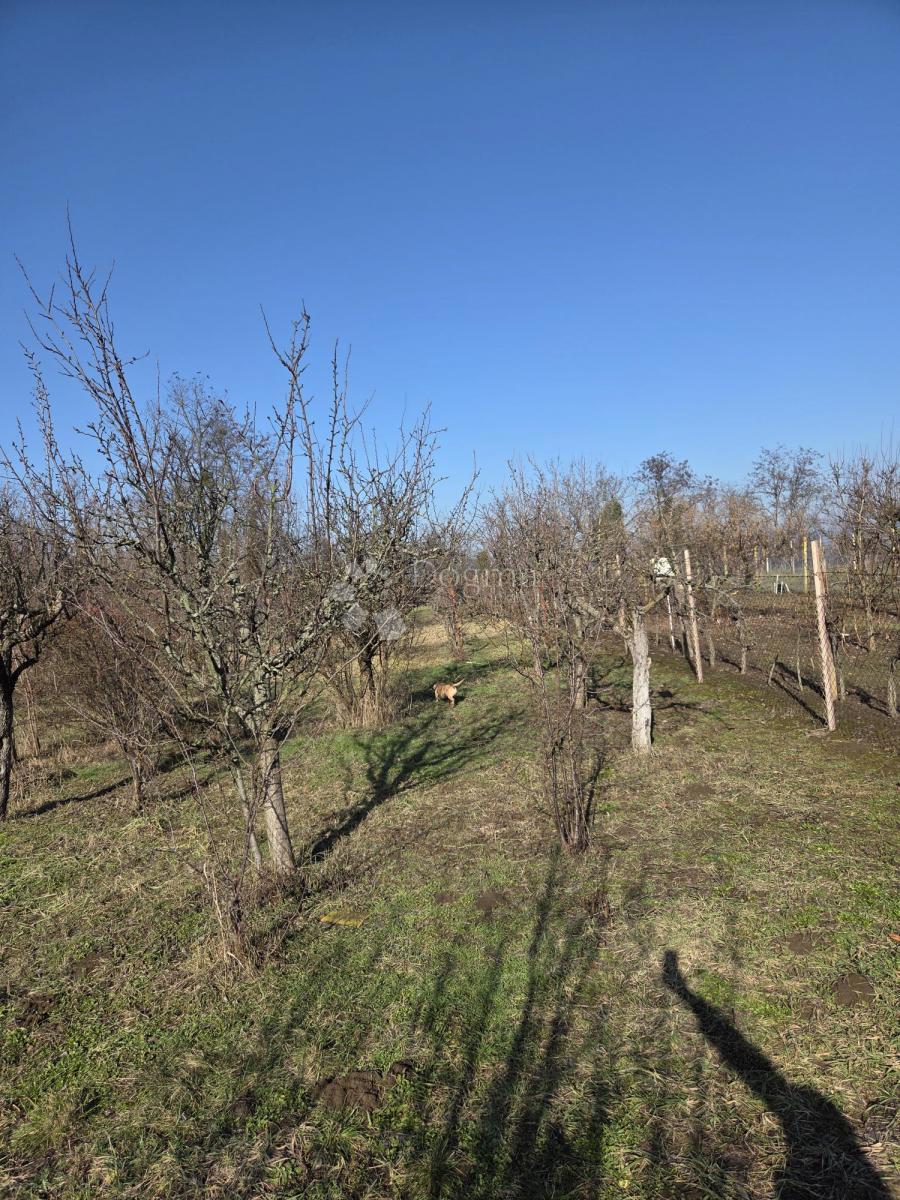 Hiša Bijelo Brdo, Erdut, 40m2