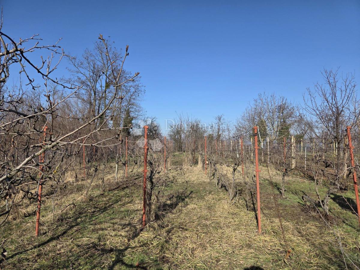 Hiša Bijelo Brdo, Erdut, 40m2