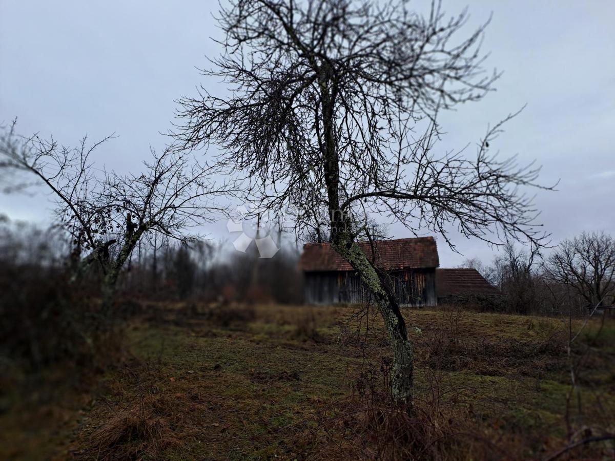 Hiša Mali Obljaj, Glina, 123m2