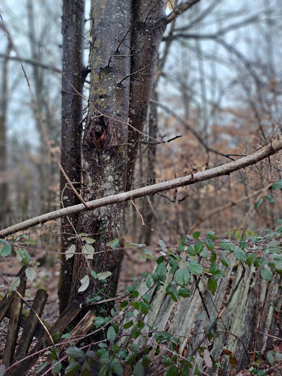 Hiša Mali Obljaj, Glina, 123m2