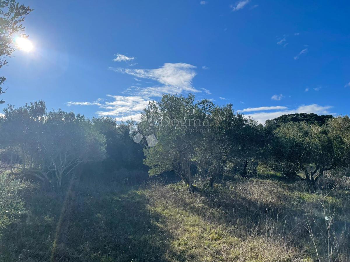 Zazidljivo zemljišče Kraj, Pašman, 1.900m2