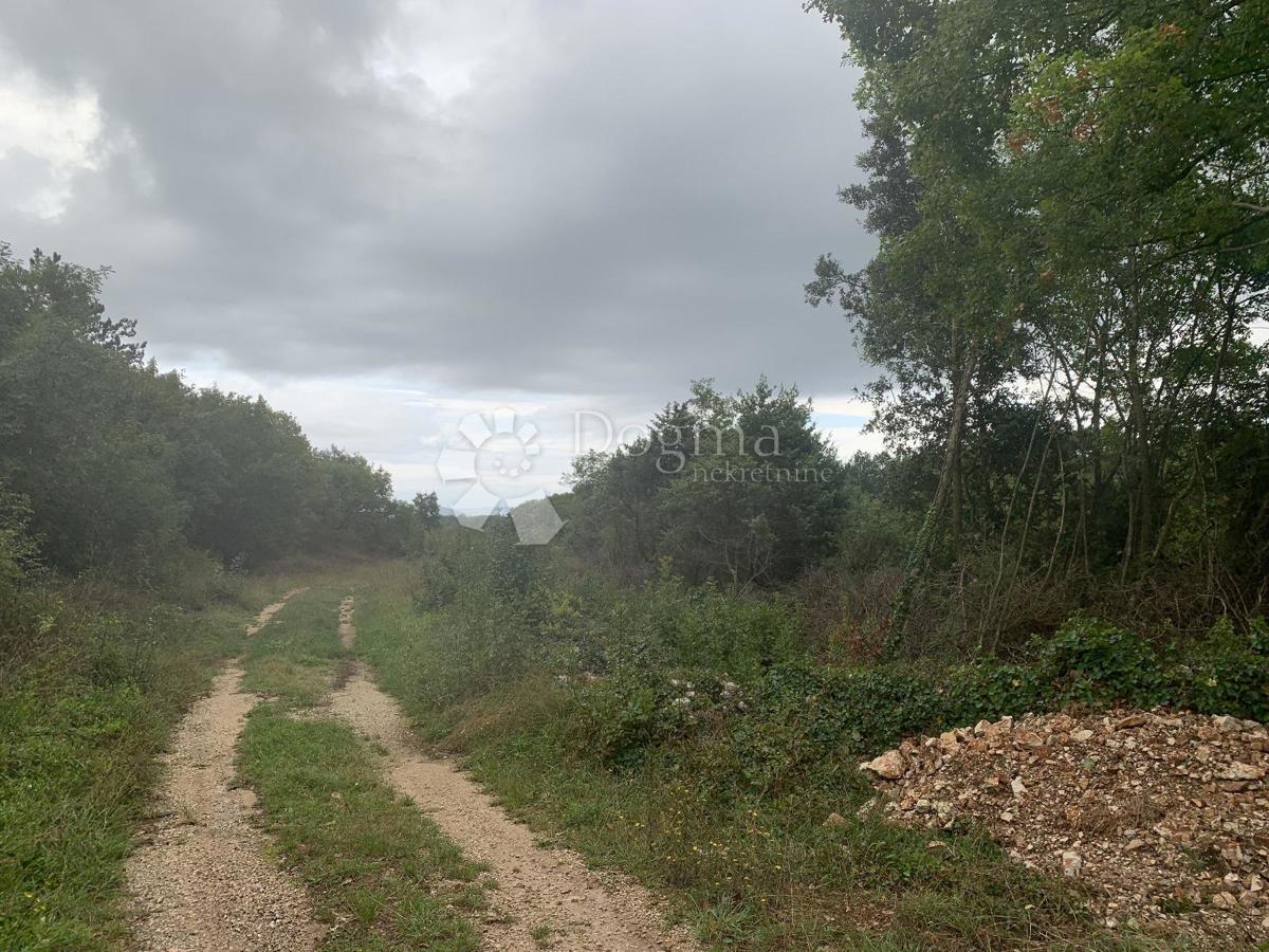 Zemljišče Filipana, Marčana, 1.427m2