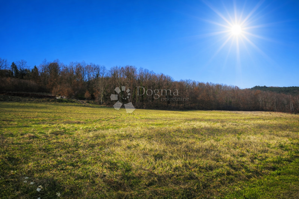 Gradbena parcela 830 m² - idealna za hišo ali investicijo