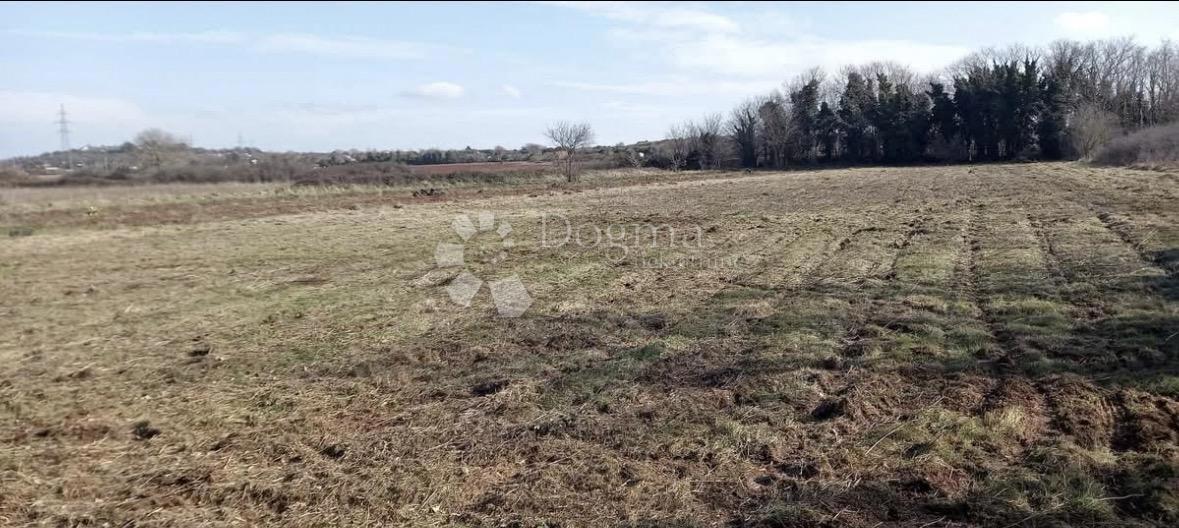 Kmetijsko zemljišče Valdebek, Pula, 3.026m2