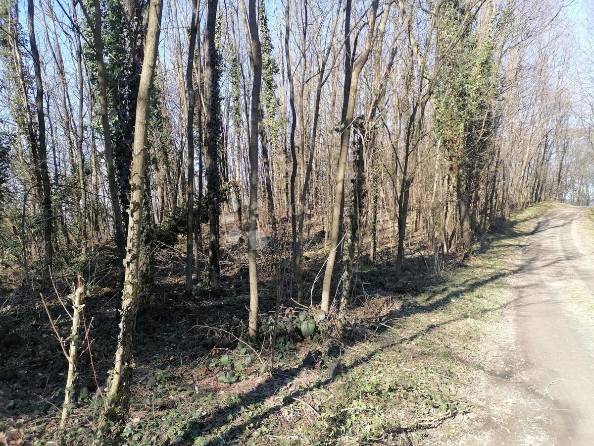 Kmetijsko zemljišče Čanjevo, Visoko, 2.266m2