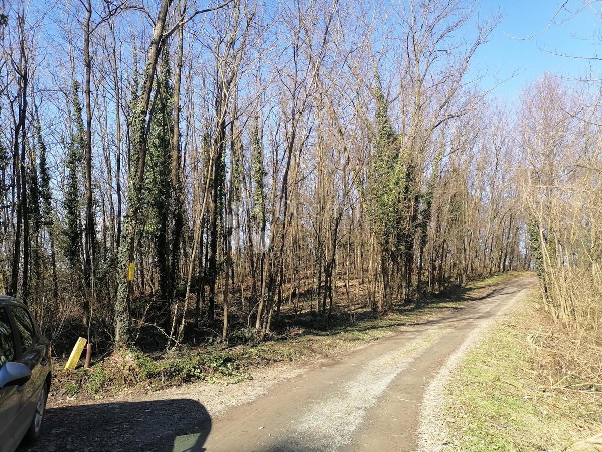 Kmetijsko zemljišče Čanjevo, Visoko, 2.266m2