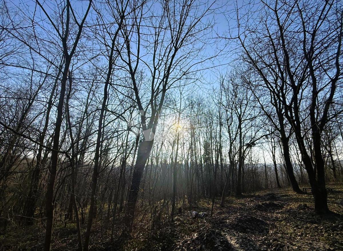 Kmetijsko zemljišče Varaždin Breg, Gornji Kneginec, 3.239m2