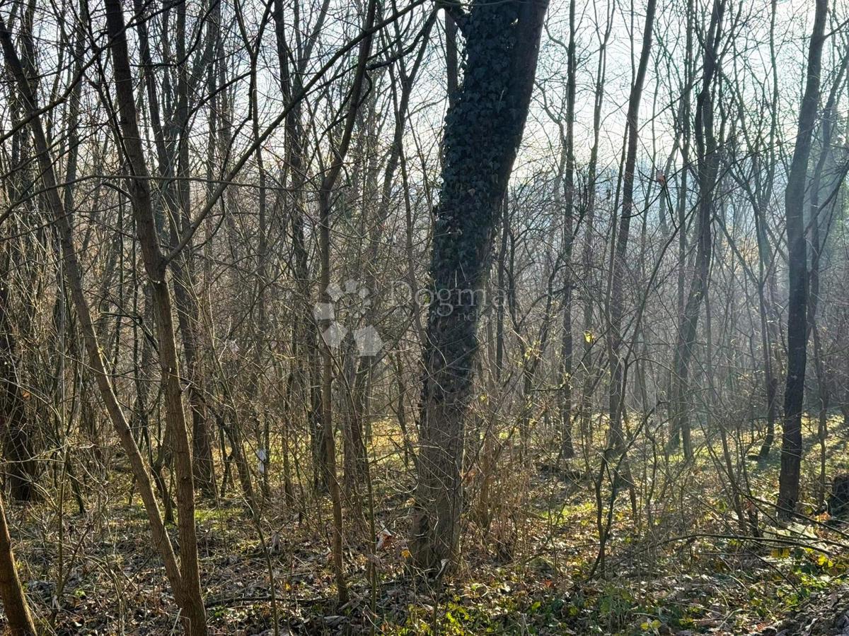 Kmetijsko zemljišče Varaždin Breg, Gornji Kneginec, 3.239m2