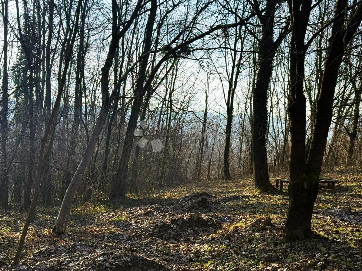 Kmetijsko zemljišče Varaždin Breg, Gornji Kneginec, 3.239m2