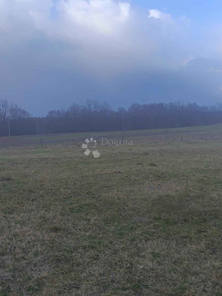 Zazidljivo zemljišče Bratina, Pisarovina, 4.418m2