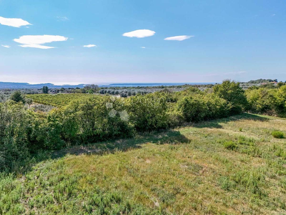 Zazidljivo zemljišče Vodnjan, 886m2