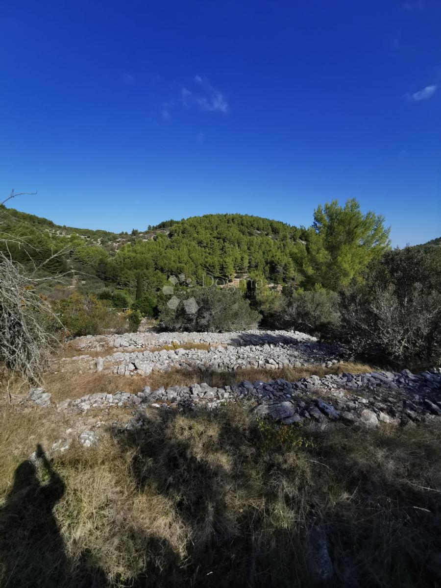 Kmetijsko zemljišče Potirna, Blato, 8.000m2