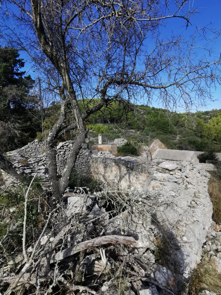 Kmetijsko zemljišče Potirna, Blato, 8.000m2
