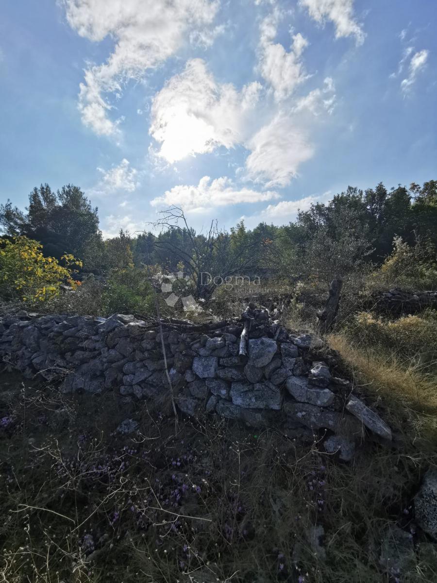 Kmetijsko zemljišče Potirna, Blato, 8.000m2