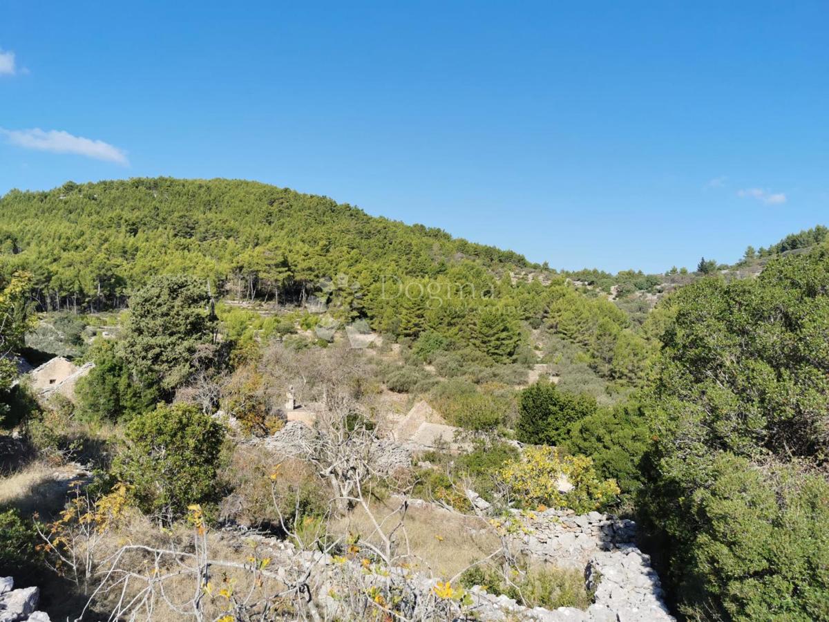 Kmetijsko zemljišče Potirna, Blato, 8.000m2