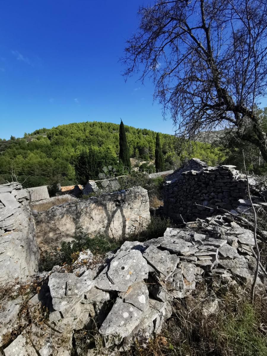 Kmetijsko zemljišče Potirna, Blato, 8.000m2