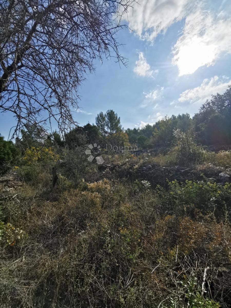 Kmetijsko zemljišče Potirna, Blato, 8.000m2