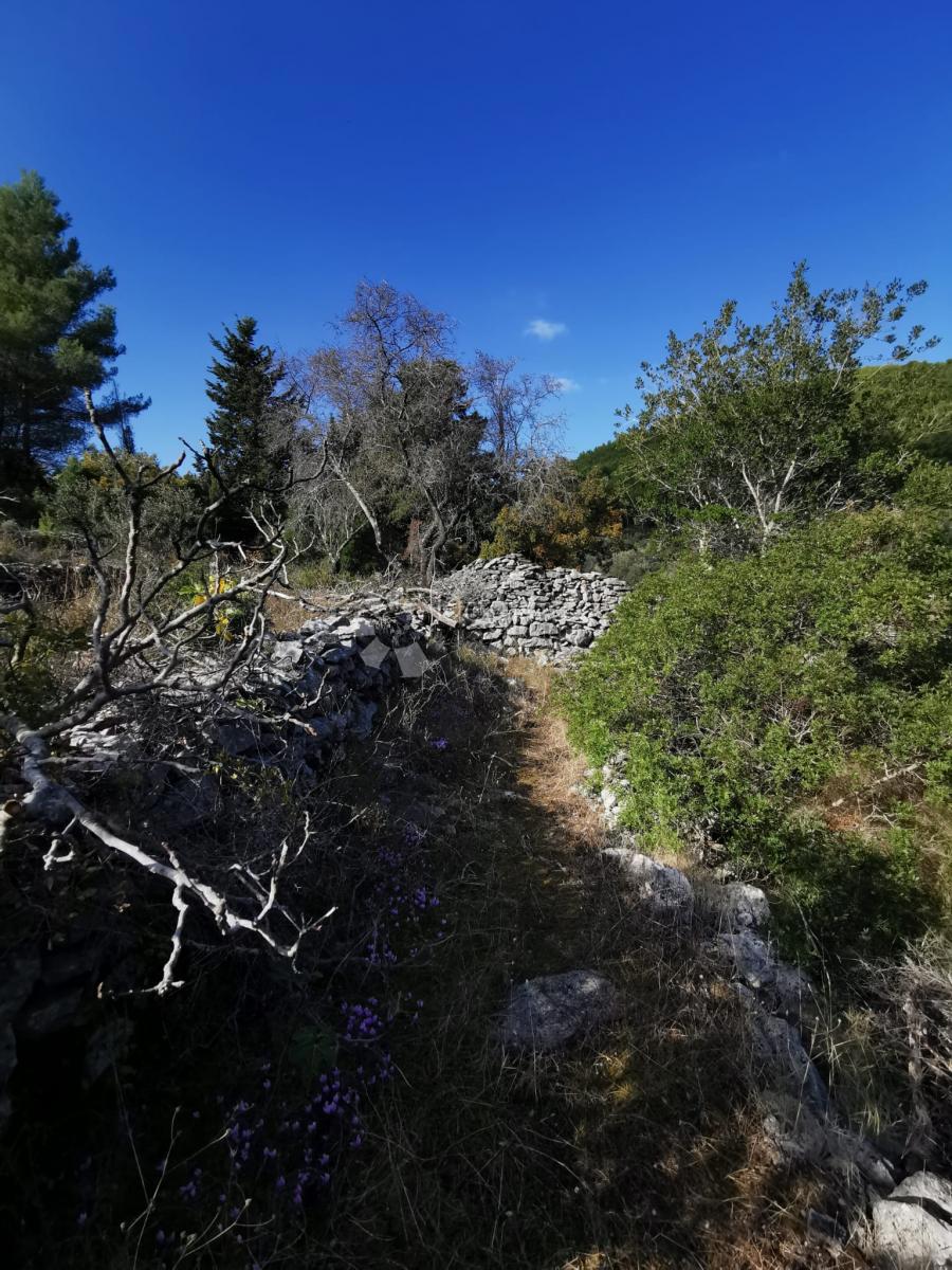 Kmetijsko zemljišče Potirna, Blato, 8.000m2