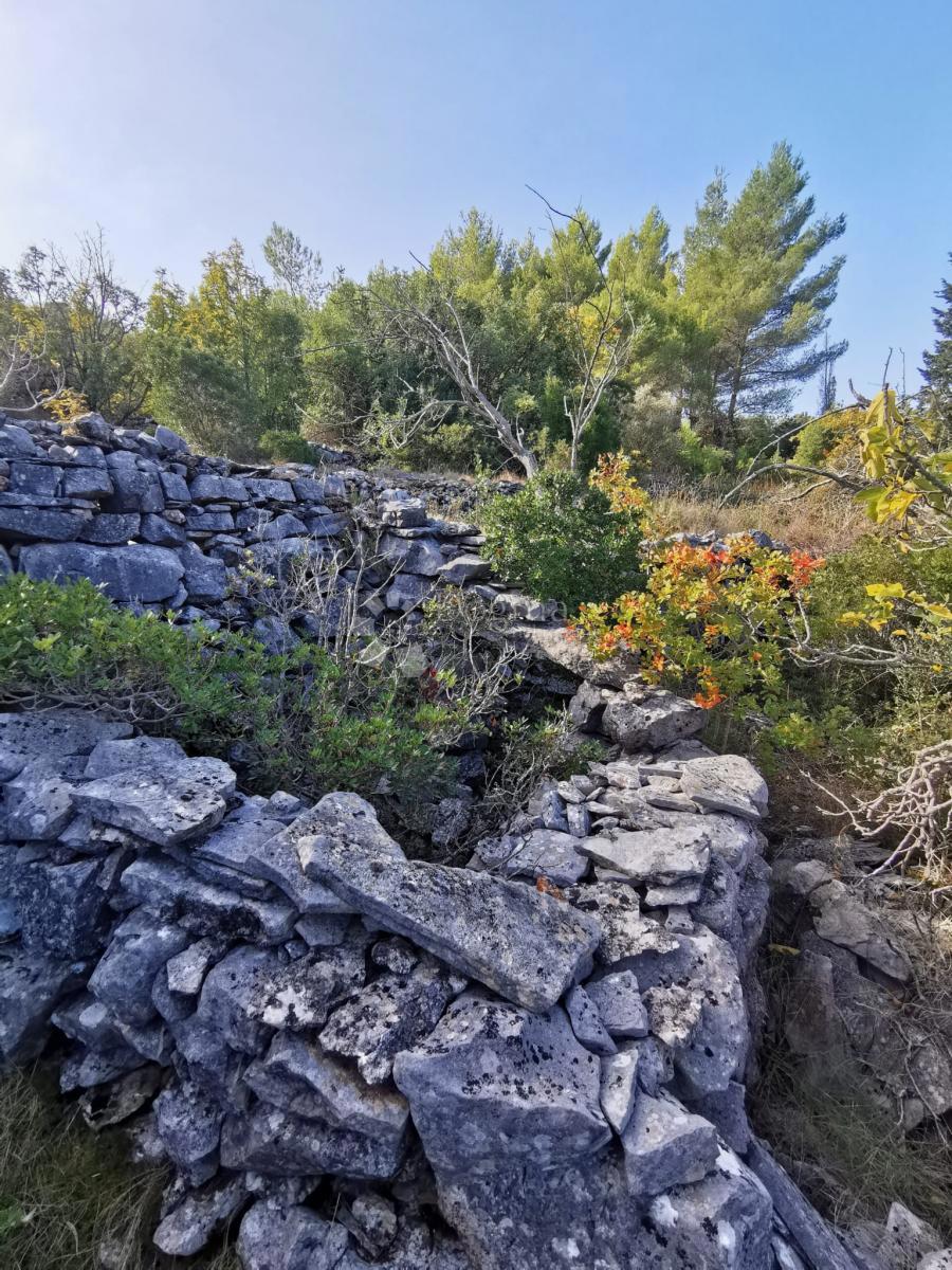Kmetijsko zemljišče Potirna, Blato, 8.000m2