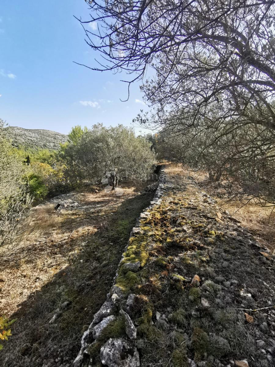 Kmetijsko zemljišče Potirna, Blato, 8.000m2
