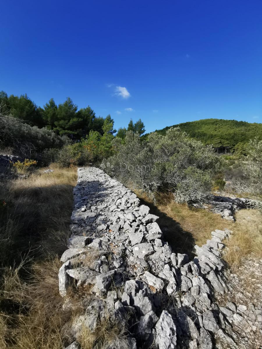 Kmetijsko zemljišče Potirna, Blato, 8.000m2