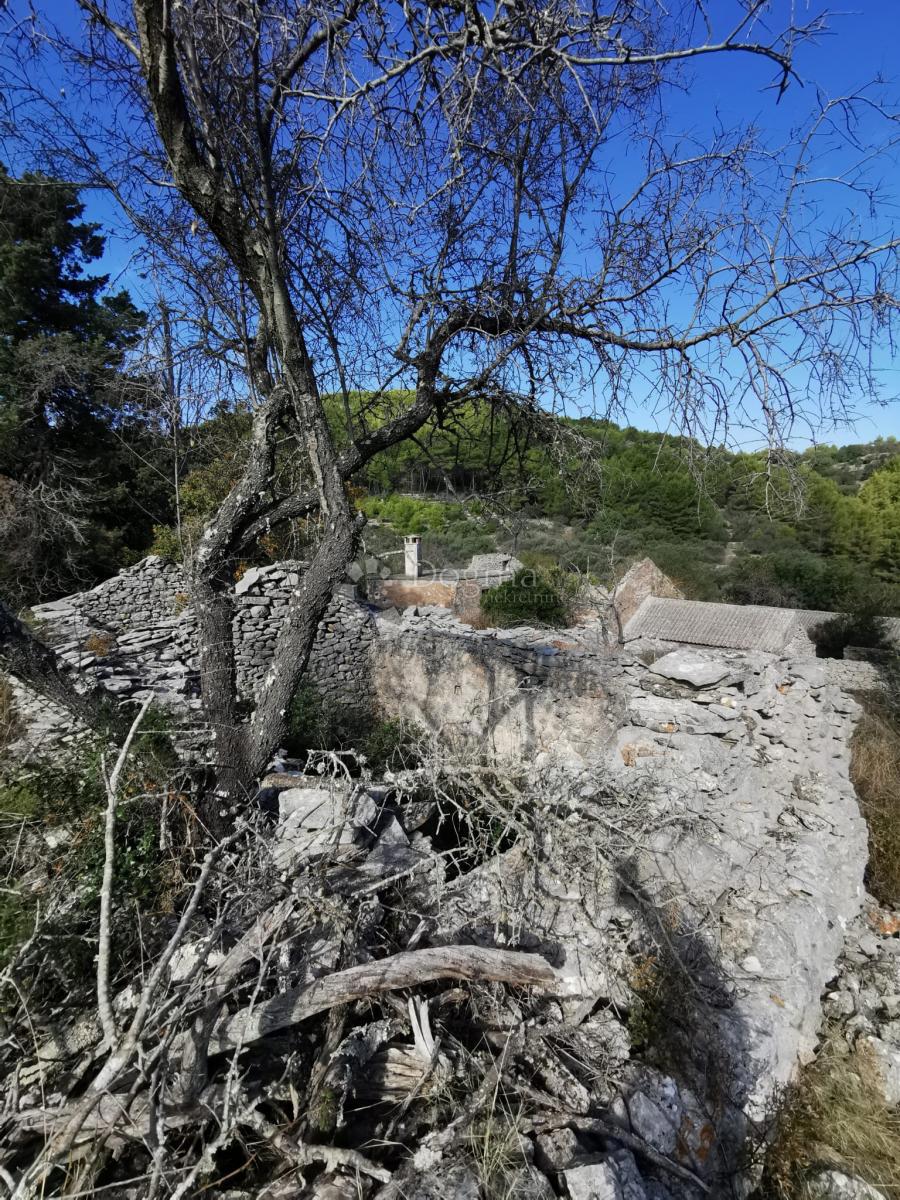 Kmetijsko zemljišče Potirna, Blato, 8.000m2