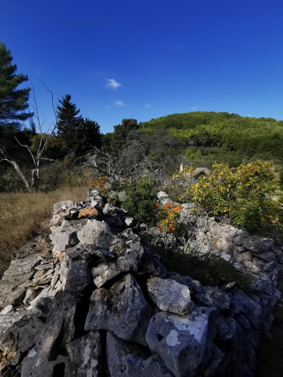 Kmetijsko zemljišče Potirna, Blato, 8.000m2